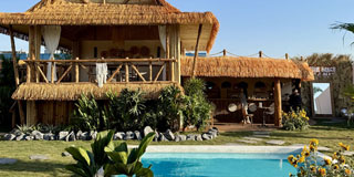 MIO��Ӱ���ء������