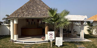 MIO��Ӱ���ء��Ӵ��